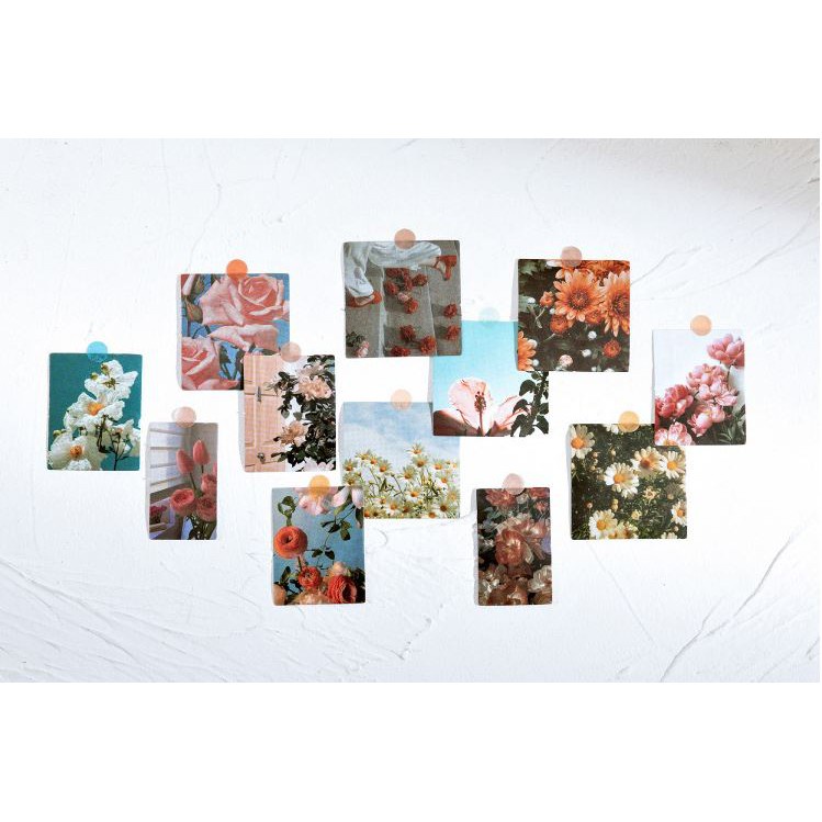 Bộ 46 Sticker Hoa Thiên Nhiên E103