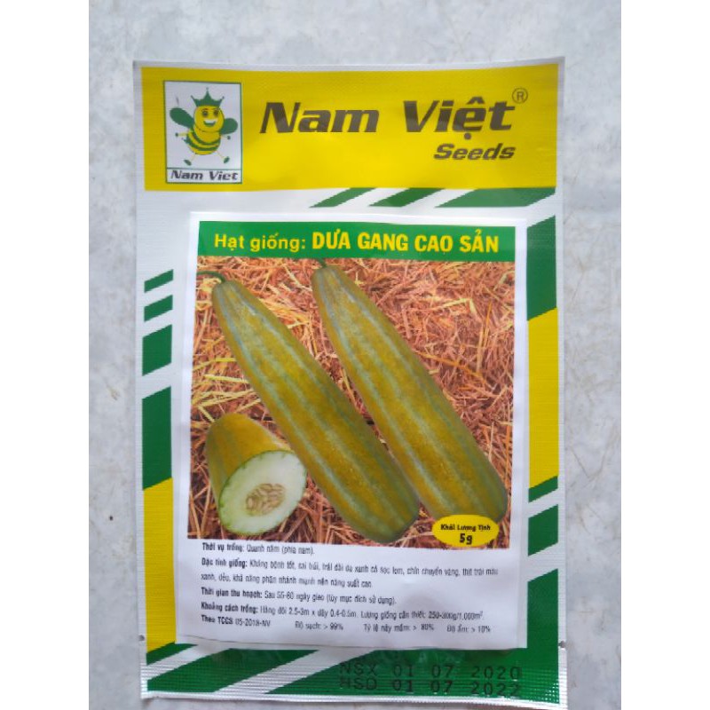 Hạt giống dưa gang cao sản