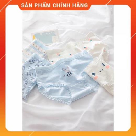 Quần Lót Nữ Cotton Thỏ - Dâu Tây Ngang Eo Thời Trang Dễ Thương 8015