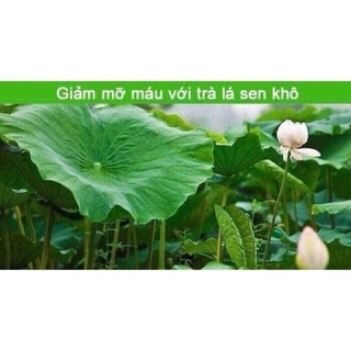 Bột lá sen sấy lạnh gói 100g