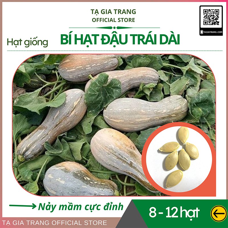 [Bán sỉ] - Hạt giống bí hạt đậu (bí đỏ hồ lồ) quả dài F1