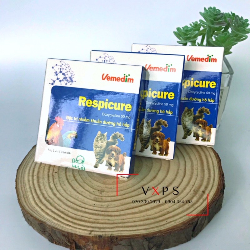 Respicure hộp 10 viên uống tốt cho chó mèo , chim gà cảnh , hô hấp khò khè