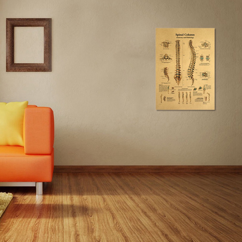 Tmdbyx Tấm Áp Phích Vải Canvas Treo Tường In Hình Giải Phẫu Học Cơ Thể Người