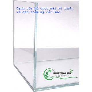 hồ siêu trong 60x35x40 ( dài x rộng x cao kính 6li )