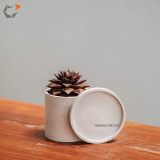 Đĩa lót chậu cảnh xi măng Cori, nhiều kích thước