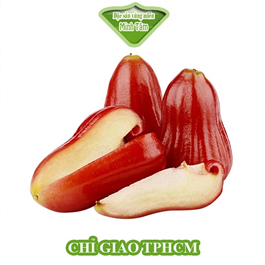 Mận An Phước chín cây tươi ngon