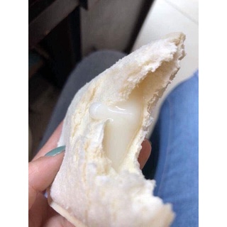 Bánh sữa chua
