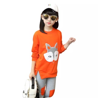 Bộ nỉ thun da cá cho bé gái