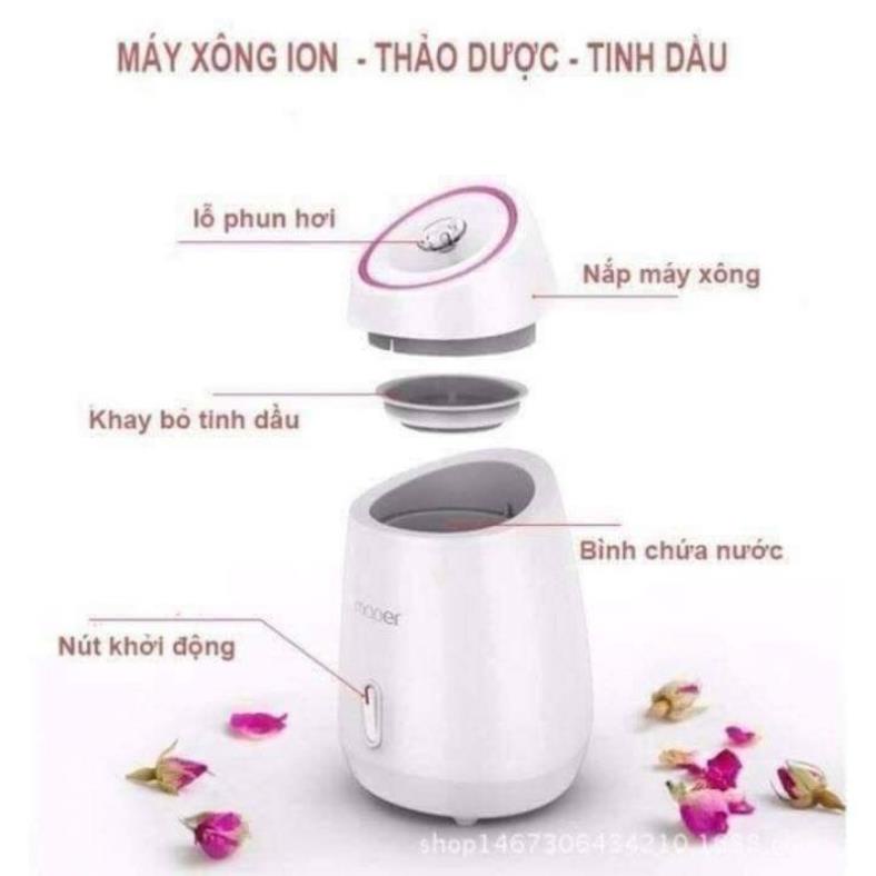 Máy Xông Hơi Mặt Hoa Quả Mooer, Máy Phun Sương Nano Tạo Ẩm