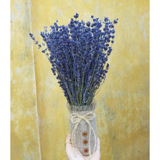 Lọ Hoa Lavender Khô Pháp