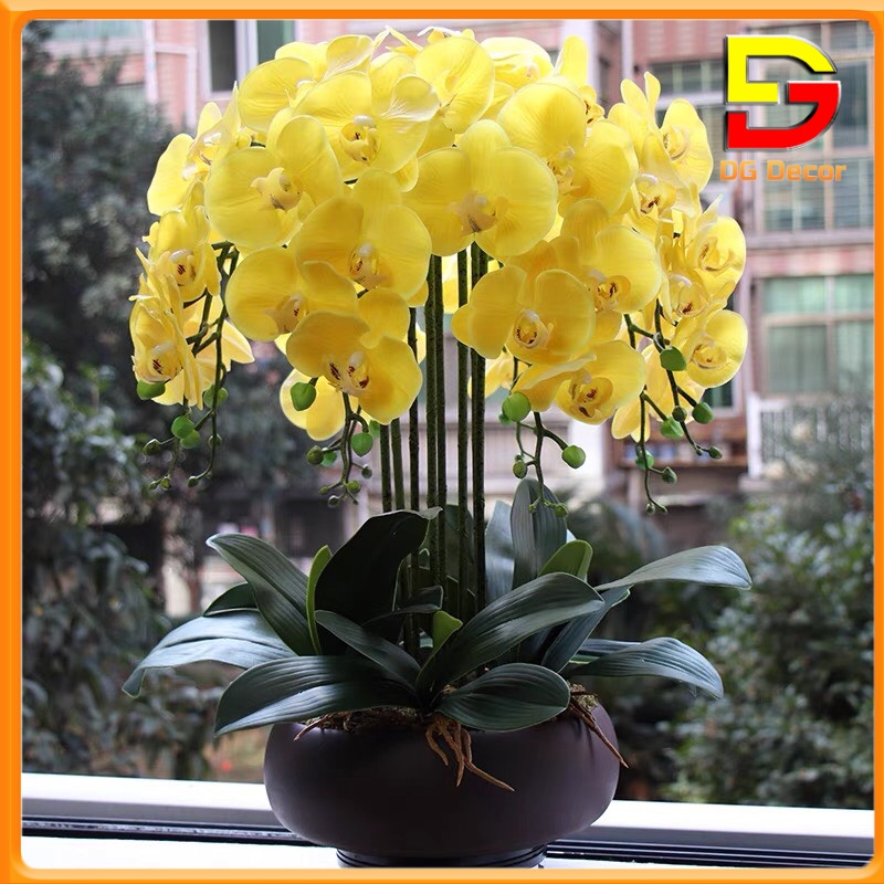 Chậu Lan Hồ Điệp Giả Bình Hoa Để Bàn Phòng Khách Sảnh Lễ Tân Sang Trọng Cao 60cm Rộng 46cm DG-120