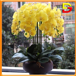 Chậu Lan Hồ Điệp Giả Bình Hoa Để Bàn Phòng Khách Sảnh Lễ Tân Sang Trọng Cao 60cm Rộng 46cm DG-120