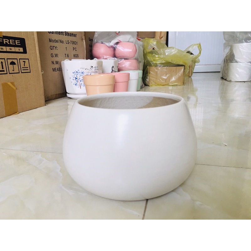 Chậu sứ hạt dẻ 2 size to men Bát Tràng trồng cây phong thuỷ, xương rồng, sen đá