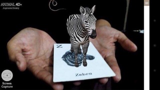 BỘ THẺ TRANH ANIMAL 4D