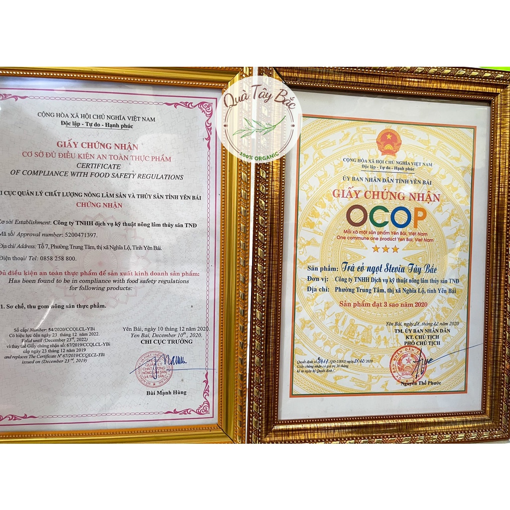 Cỏ ngọt sấy khô Stevia Tây Bắc 100g chứng nhận OCOP