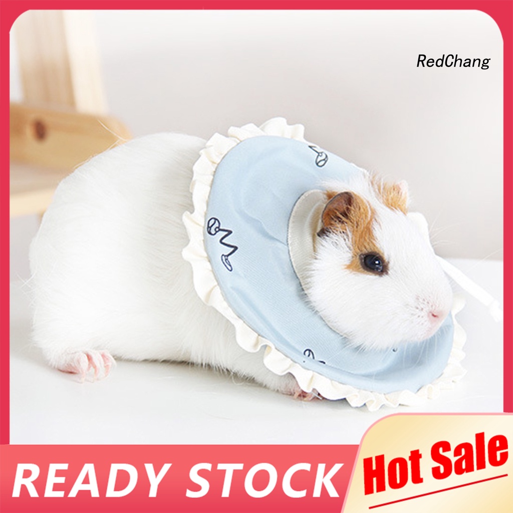 Vòng Cổ Bảo Vệ Chống Liếm Dành Cho Chuột Hamster
