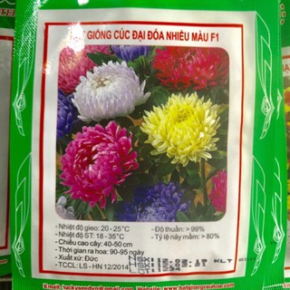 HẠT GIỐNG HOA CÚC ĐẠI ĐOÁ NHIỀU MÀU F1 NHẬP KHẨU.