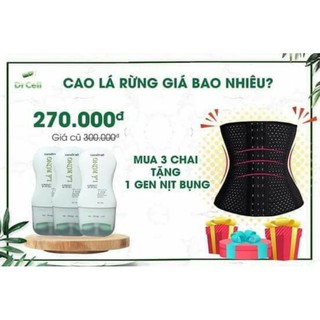 tan mở cao lá rừng