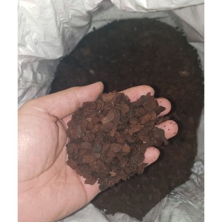 Vỏ thông Orchiata size 6-9 loại 1kg