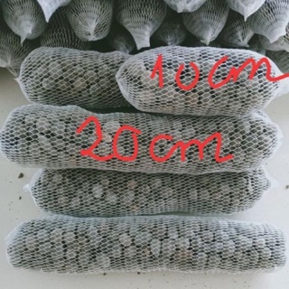 phân dê túi lưới 20cm