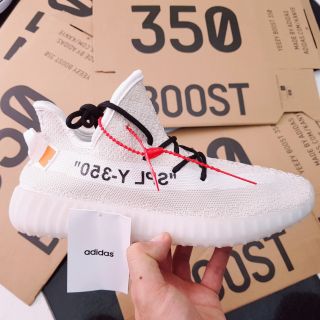 Giày thế thao thấp cổ Nam và Nữ