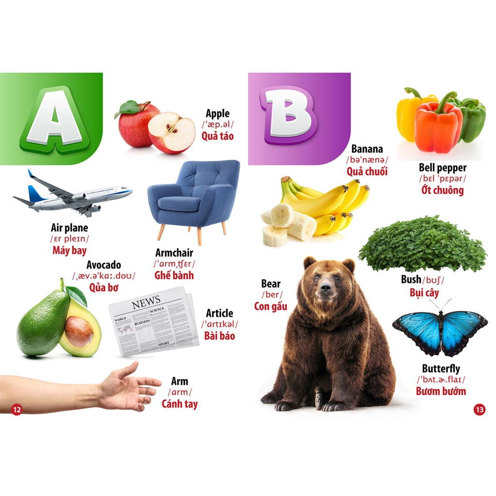 Sách - Từ Điển Bằng Hình - Chữ Cái Và Số Đếm
