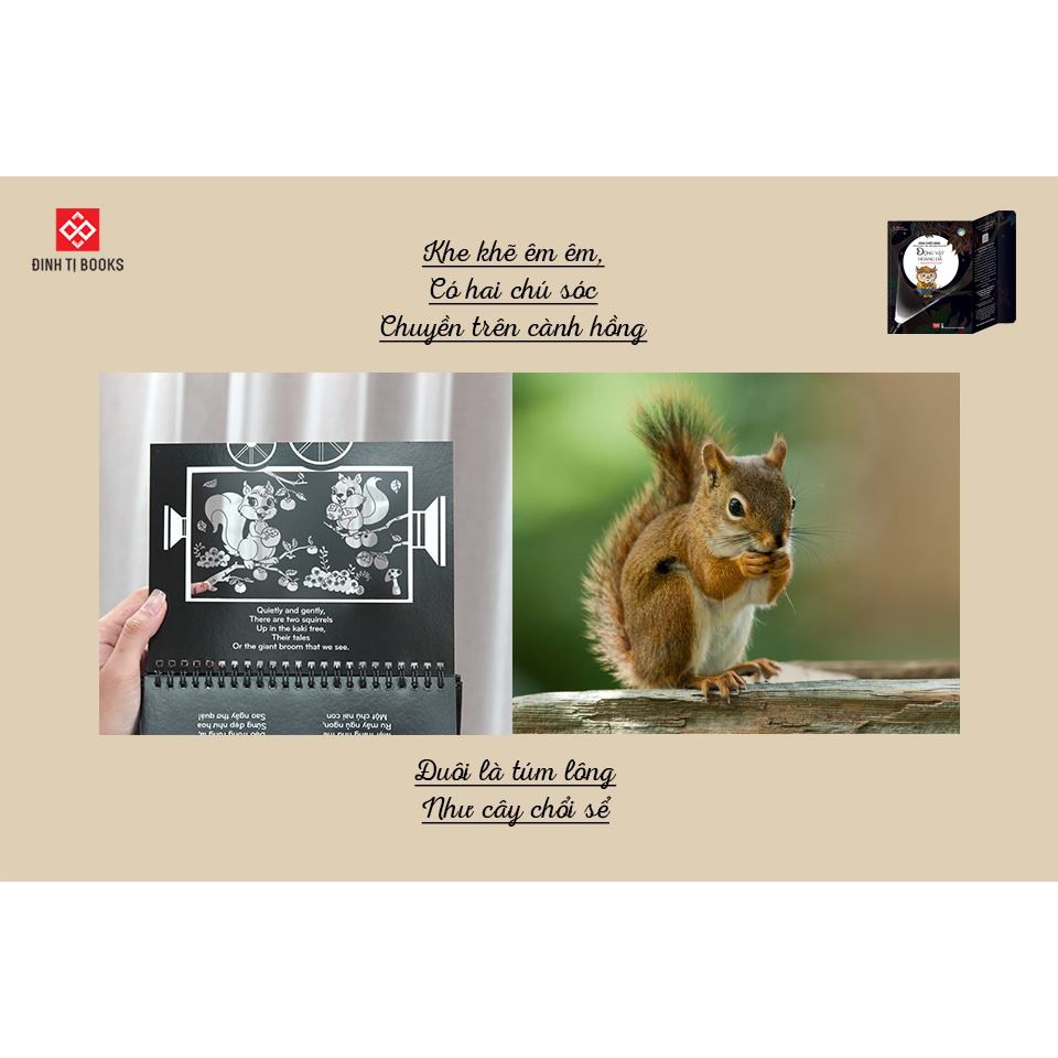Sách chiếu bóng - Cinema book - Rạp chiếu phim trong sách - Động vật hoang dã