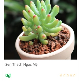 Combo sản phẩm 
