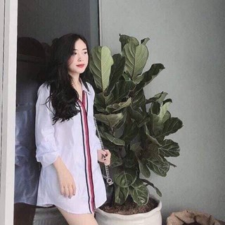 ÁO SƠ MI SỌC DÁNG DÀI NỮ