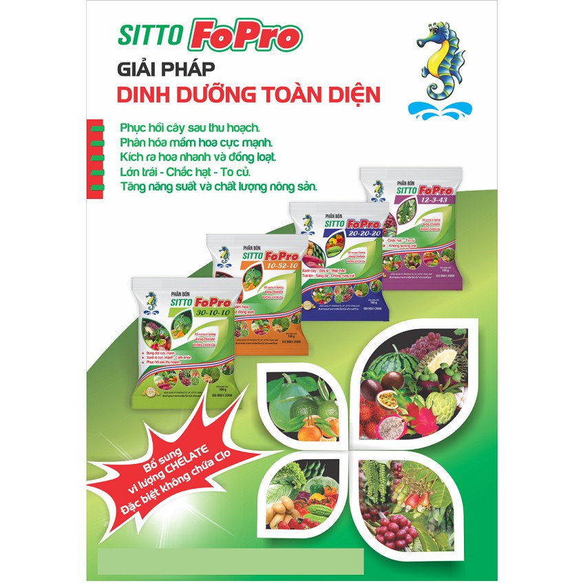 Combo 4 gói Phân bón lá NPK hòa tan Sitto FoPro
