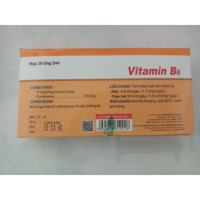 Vitamin B6 hộp 20 ống*2ml dạng tiêm