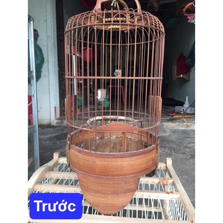 Nước Tẩy Lồng Chim Hoàng Long