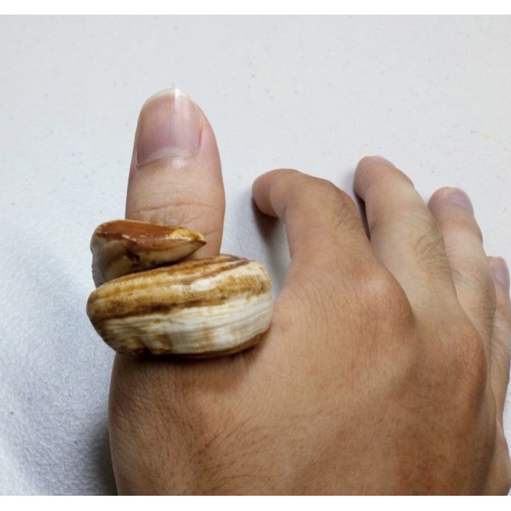 Nhẫn nanh heo nhân tạo độc lạ