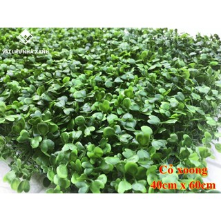 (HCM) Thảm Cỏ Treo Tường - Cỏ Xoang 40*60cm Giá Tốt Nhất