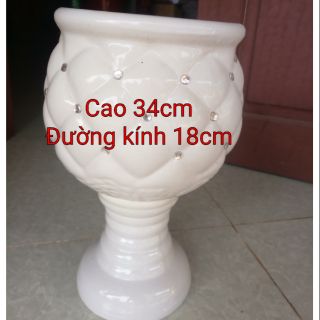 Chậu ly sứ