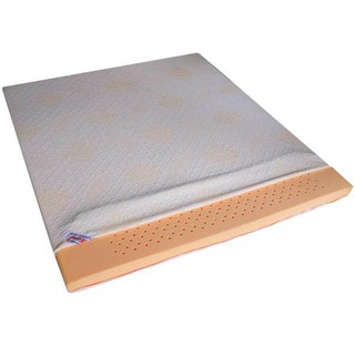 Nệm Cao Su Non 1m2 x 1m95 x 10F
