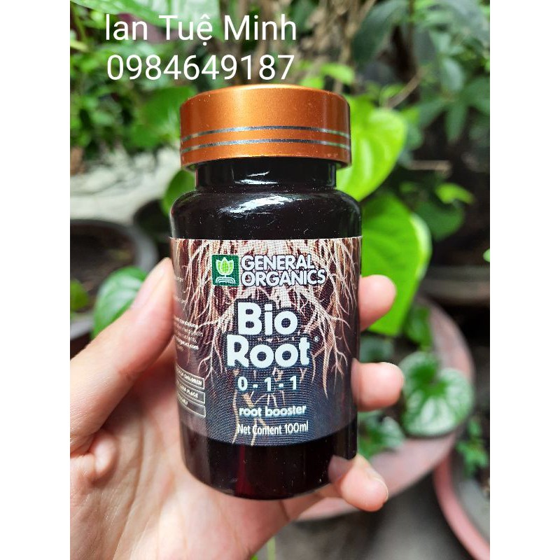 Siêu kích rễ Bio root 100ml – kích rễ cực mạnh nhập khẩu từ Mỹ