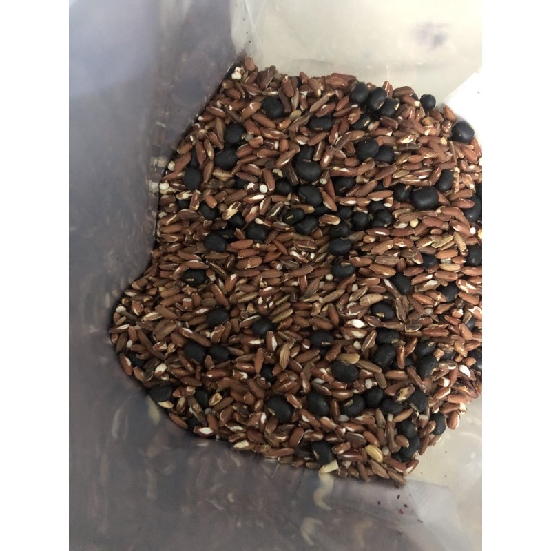 TRÀ GẠO LỨT HUYẾT RỒNG loại 1kg | BigBuy360 - bigbuy360.vn