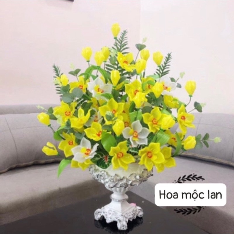 Set vật liệu làm chậu hoa mộc lan trang trí nhà cửa