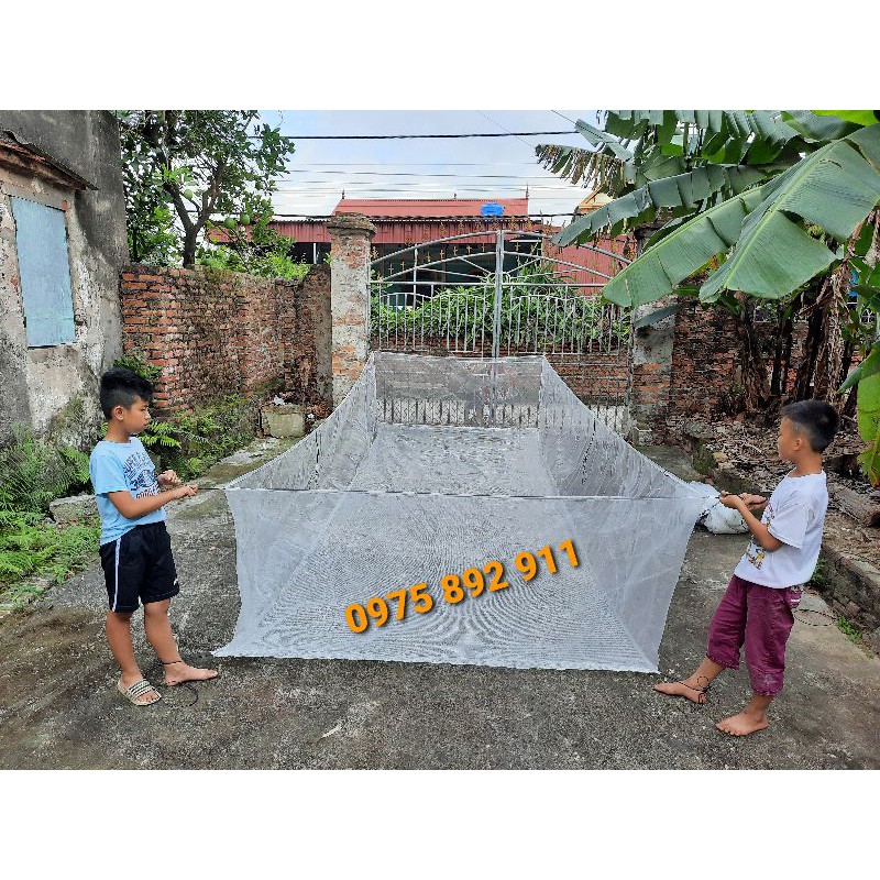 TRÁNG , VÈO NUÔI ỐC NHỒI BƯU ĐEN 5X2X1