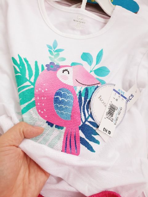Set bộ Koala Kids