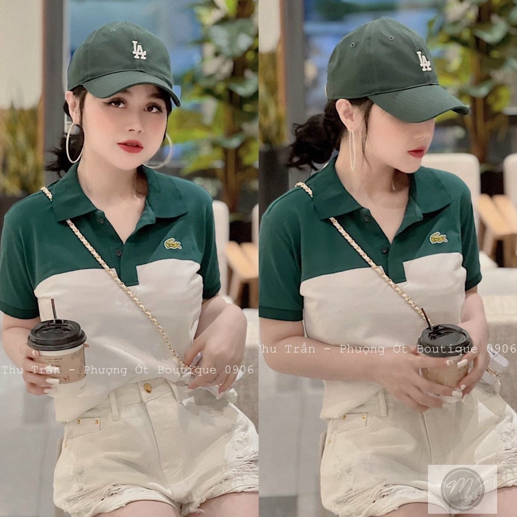 Áo Polo Hình Cá Sấu, Áo Cổ Trụ  Phối Ngang Trắng Xanh