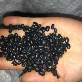 Đậu đen xanh lòng quê hạt nhỏ (1kg)