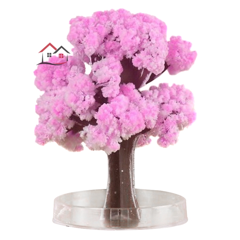 HYP Magic Growing Tree Paper Sakura Crystal Trees Desktop Cherry Blossom Toys  @VN | BigBuy360 - bigbuy360.vn