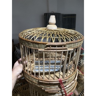 LỒNG CU GÁY BẮC GIANG
