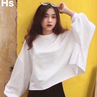 Áo crt bo tay 3492_hsp