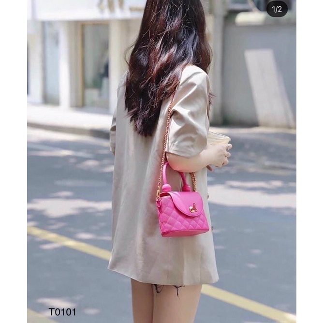 Túi CnK quai kiềng ngọc lót đỏ mẫu Hot 2022 size 20cm T0101