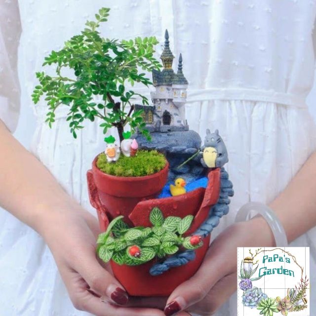 Tiểu cảnh terrarium ❤️ FREESHIP ❤️ Củ cải đáng yêu tiểu cảnh sân vườn mini