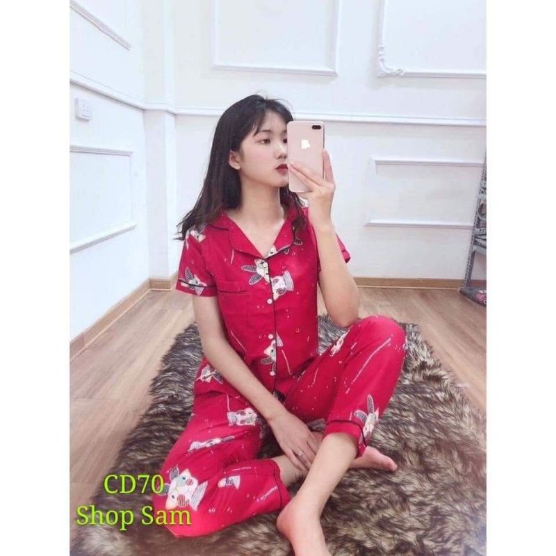 bộ ngủ nữ pijama tay ngắn quần dài  nhiều mẫu🍀 | BigBuy360 - bigbuy360.vn