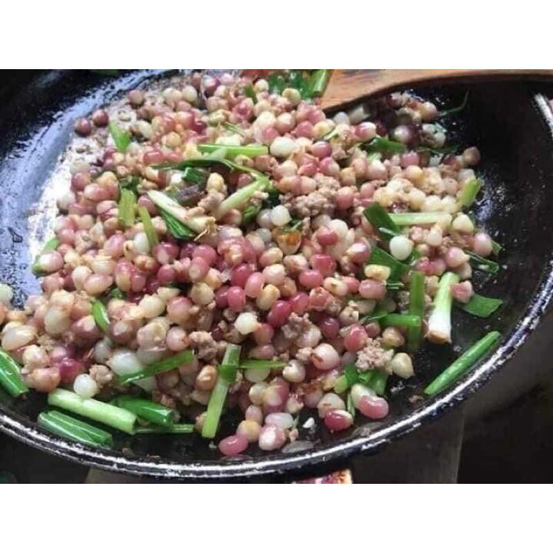 🌽🌽🌽Bắp Bung Điện Biên 🌽🌽🌽